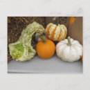 Recherche de assortiment cartes postales Automne
