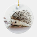 Search for cute hedgehog ornaments Adorable