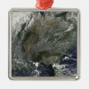 Search for kentucky state tree Alabama