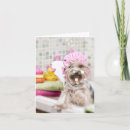 Search for bathing dog cards Grooming