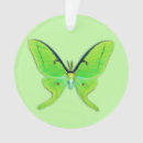 Search for luna moth ornaments Insects
