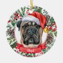 Recherche de mastiff ornements Chien