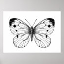 Search for large butterfly posters Illustration