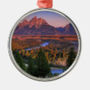 Search for jackson hole ornaments Landscape