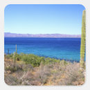 Search for baja mexico stickers Cardon cactus