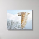 Recherche de voler impressions sur toile Oiseaux