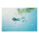 Recherche de grenouille bleue posters Pour tous