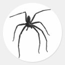 Search for arachnids gift wrap Horror
