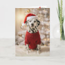 Search for dalmatian christmas cards Dog