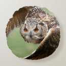 Search for eagle pillows Brown