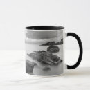 Search for central coast mugs Coastline