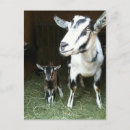 Recherche de moms cartes postales Pour tous