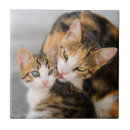 Search for mothers tiles Pet