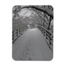 Search for bare tree magnets Outdoors
