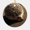 Recherche de hérisson ornements Hedgie