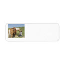 Search for palomino horse return address labels Western