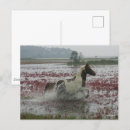 Recherche de chincoteague Eau