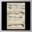 Recherche de 1510 Leonardo