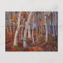 Recherche de bouleaux cartes postales Pour tous