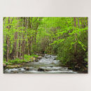 Search for smoky mountains puzzles Forest