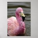 Search for captivating posters Pink