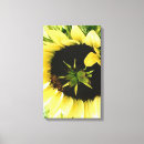 Search for vegetation canvas prints Plants