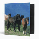 Search for mustang binders Mountains