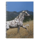 Search for horse notebooks Headshot