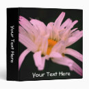 Search for white petal Flower