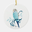 Search for parakeet ornaments Budgerigar