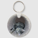Search for sleepy cat keychains Kittens