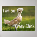 Recherche de poulet fou posters Drôle