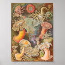 Search for ernst posters Artist