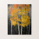Search for broadleaved Autumn