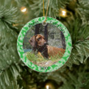 Search for camouflage ornaments Hunter
