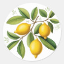 Recherche de limoncello autocollants Italien