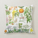 Recherche de illustration botanique coussins Plante