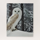 Recherche de oiseau de neige puzzles Enfants