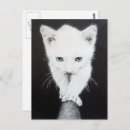 Recherche de petit chat blanc cartes postales Animaux