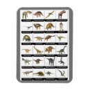 Recherche de dinosaures magnets Préhistorique