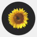 Search for sunflower background stickers Yellow