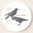 Recherche de corvid dessous de verres Corneille