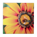 Recherche de couleur miel carreaux Abeille