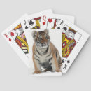 Search for tiger playing cards Cub