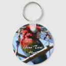 Search for red parrot keychains Pet
