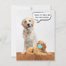 Search for veterinary doctor cards Stethoscope