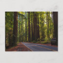 Recherche de avenue de moi cartes postales Californie