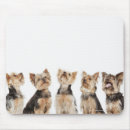 Search for teamwork mousepads Horizontal