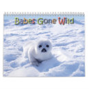 Search for bear office supplies Polar