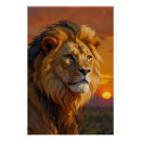 Search for african lion posters Predator